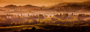 Fields of gold - Tuscany, Italy