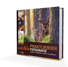 cover wildlifefotografie praktijkboek