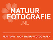natuurfotografie_logo_payoff_185