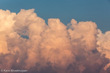 Cumulus congestus, sterk opbollende stapelwolken.