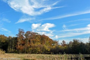 De blauwe lucht contrasteert mooi met de herfstkleuren.