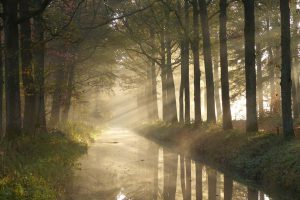 Fotowedstrijd Herfst De Groote Heide