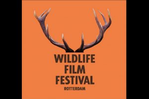 Wildlife Filmfestival Rotterdam 2019