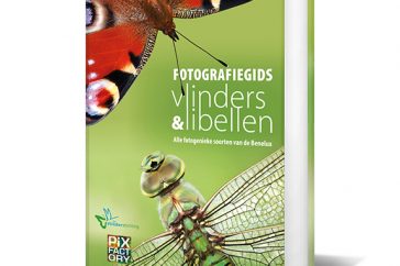 Cover fotografiegids Vlinders en Libellen