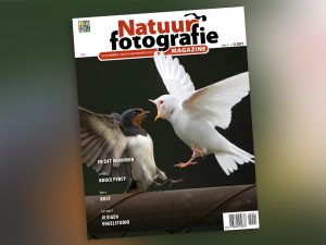 natuurfotografie magazine