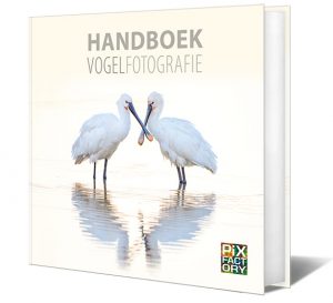 handboek vogelfotografie