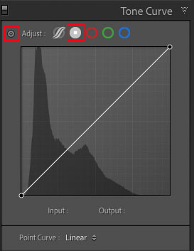 In Lightroom kies je het grijze bolletje, wil je de curve kunnen aanpassen. Het bolletje links is vergelijkbaar met het handje in Photoshop en stelt je in staat in de foto zelf te klikken en slepen.