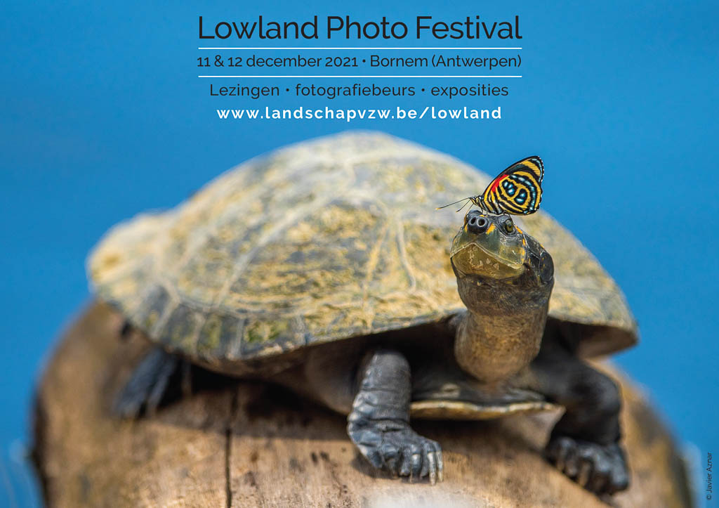 Lowland Photo Festival 2021