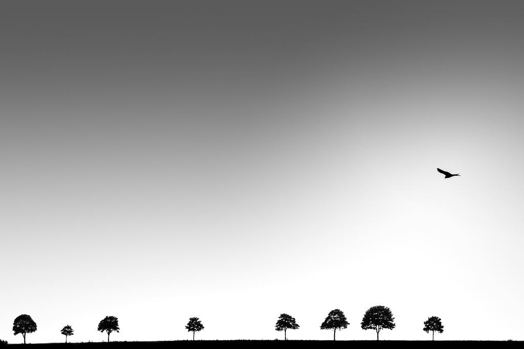 minimalistisch landschap in zwart-wit.