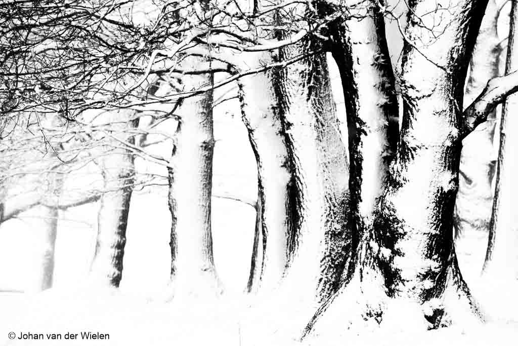 Wat meer sneeuw dan ten tijde van schrijven, jaren geleden. Foto omgezet in zwart/wit. Kleur jij deze later in?