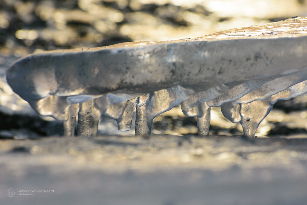 Op zoek naar mooie ijsstructuren. Zie jij ook olifantjes in de ijspegels?