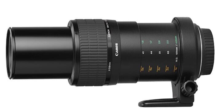 De Canon MP-E65mm f/2.8 1-5x biedt tot 5x vergroting.